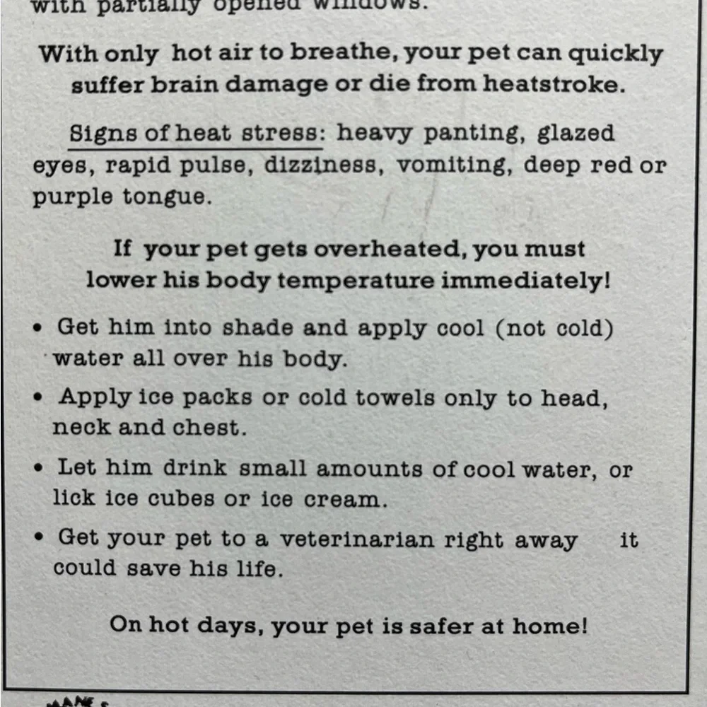 Gray Car Window Ventilation System